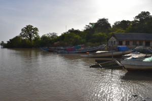Am Gambia-River